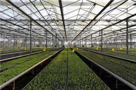 ũҵݿӻڿγ̽ѧеӦ